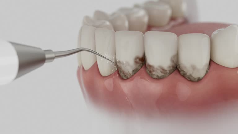 Reliable Dental contractor in Columbus, GA by Dentist Open Now